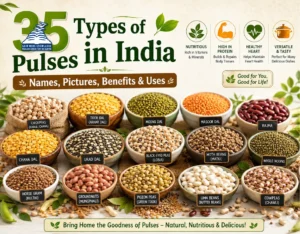 List of 35 Pulses in India with Pictures- Presidency Group of Schools